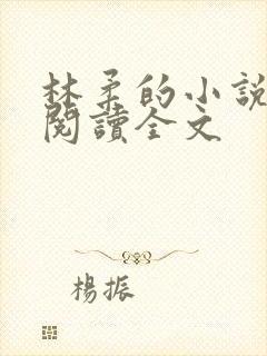 林柔的小说在线阅读全文封面