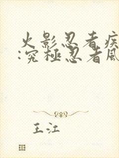 火影忍者疾风传:究极忍者风暴遗产