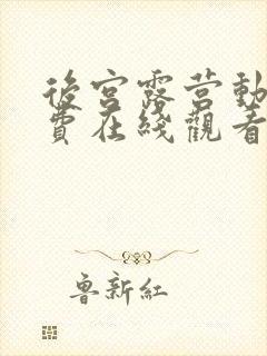 后宫露营动漫免费在线观看