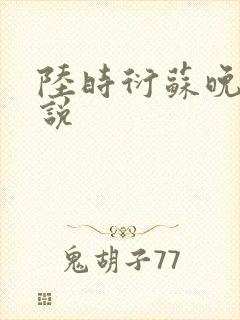 陆时衍苏晚的小说封面