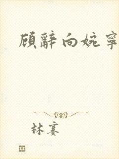 顾辞向婉宁小说封面