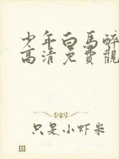 少年白马醉春风高清免费观看全集