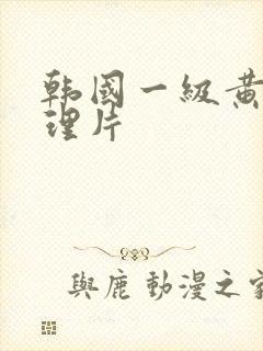 韩国一级黄色伦理片