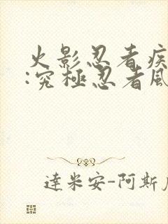 火影忍者疾风传:究极忍者风暴3