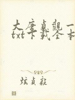 大唐贞观一书生txt下载全本