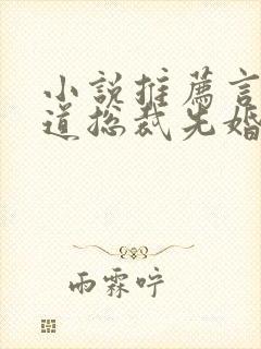 小说推荐言情霸道总裁先婚后爱