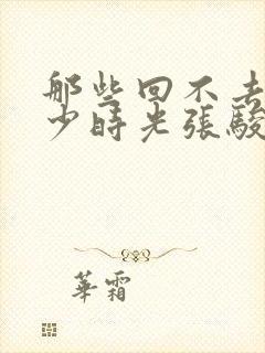 那些回不去的年少时光张骏封面