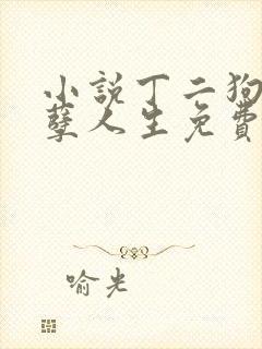 小说丁二狗的妖孽人生免费阅读封面