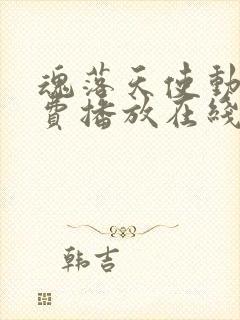 魂落天使动漫免费播放在线观看