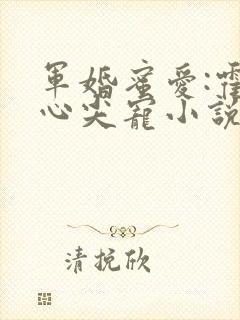 军婚蜜爱:霍爷心尖宠小说