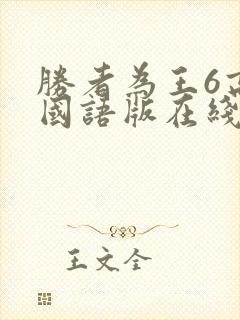 胜者为王6高清国语版在线观看