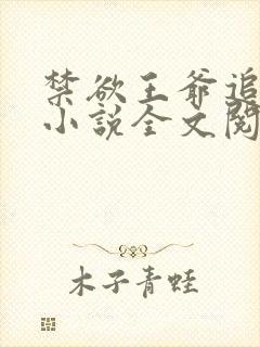 禁欲王爷追着宠小说全文阅读