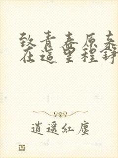 致青春原来你还在这里程铮