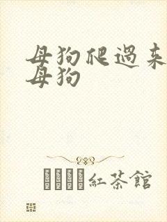 母狗爬过来调教母狗