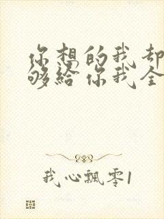 你想的我却不能够给你我全部歌词