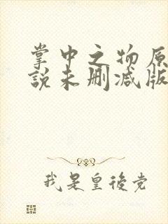 掌中之物原著小说未删减版