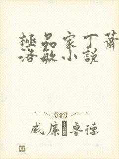 极品家丁萧夫人洛敏小说