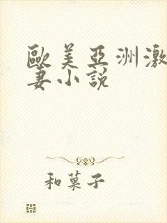 欧美亚洲激情人妻小说