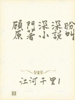 顾门深深盼沉归原著小说叫什么