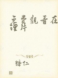 免费观看在线伦理片