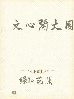 文心阁大团结封面