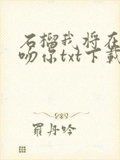 石榴我将在今夜吻你txt下载