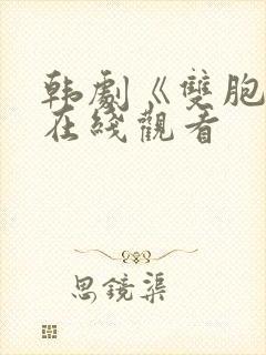 韩剧《双胞胎》在线观看