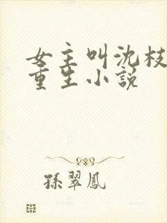 女主叫沈枝意的重生小说封面