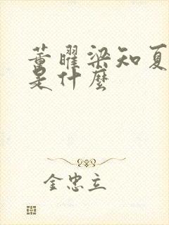 董曜梁知夏结局是什么封面