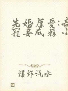 先婚厚爱:帝少宠妻成瘾 小说下载