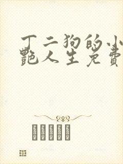 丁二狗的小说猎艳人生免费阅读全文