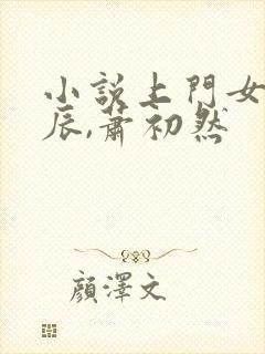 小说上门女婿叶辰,萧初然