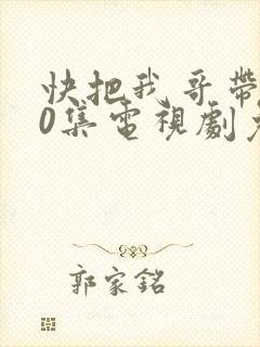 快把我哥带走30集电视剧免费封面