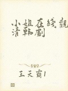 小姐在线观看高清韩剧