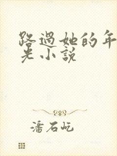 路过她的年少时光小说