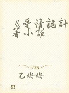 《爱情诡计》原著小说