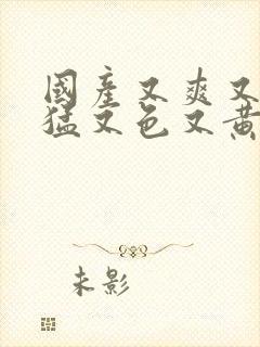 国产又爽又粗又猛又色又黄网站视频