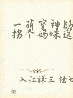 一萌宝神助攻:拐个妈咪送爹地