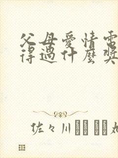 父母爱情电视剧得过什么奖