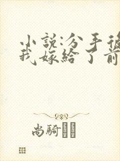 小说:分手后,我嫁给了前男友的小叔