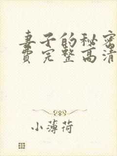 妻子的秘密4免费完整高清电视剧在线封面