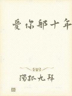 爱你那十年小说
