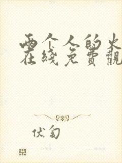 两个人的火山口在线免费观看封面