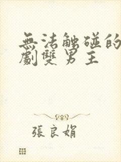 无法触碰的爱日剧双男主