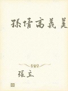 孙倩高义美红封面