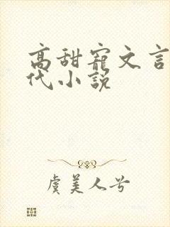 高甜宠文言情现代小说封面