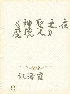 《神圣之夜:恶魔猎人》