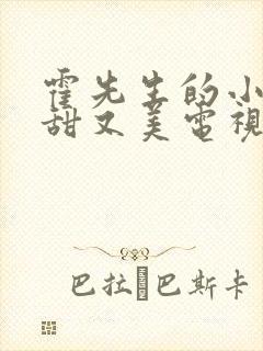 霍先生的小祖宗甜又美电视剧完整版封面