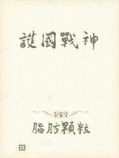 护国战神