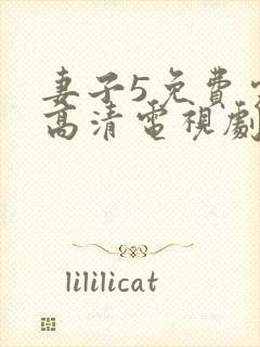 妻子5免费完整高清电视剧封面